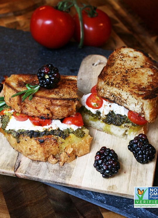Pesto and Goat Grilled Cheese